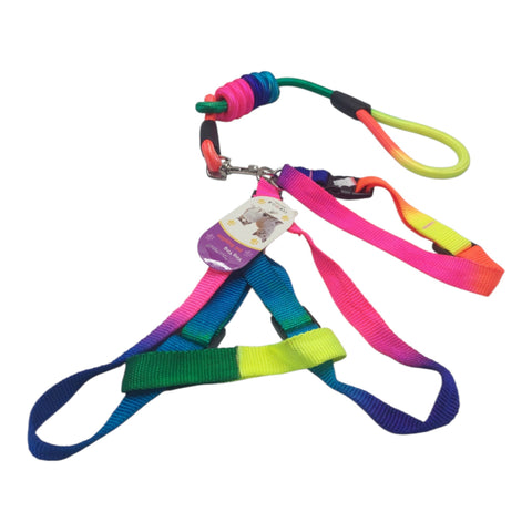 Dog Leash Meduim Pet