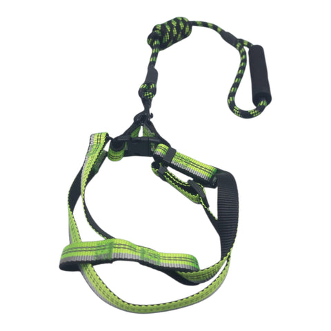 Dog Leash Meduim Pet