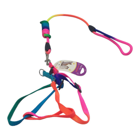 Dog Leash Meduim Pet