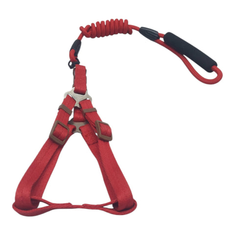 Dog Leash Meduim Pet