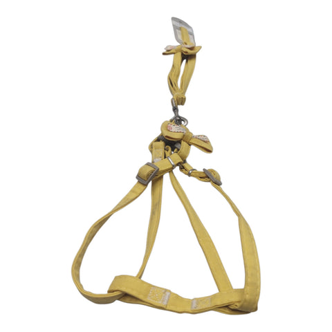 Dog Leash Meduim Pet