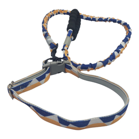 Dog Leash Large Pet