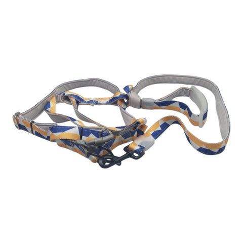Dog Leash Large Pet