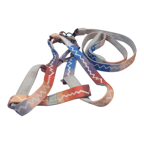 Dog Leash Large Pet