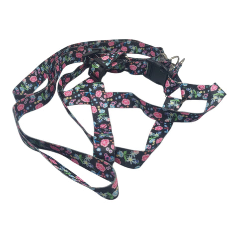 Dog Leash Large Pet