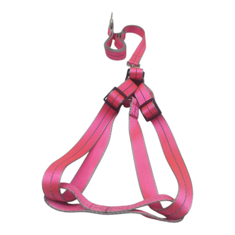 Dog Leash For Large Pet