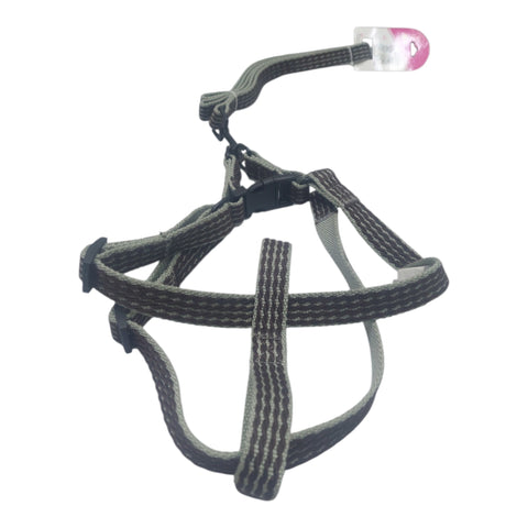Dog Leash For Large Pet