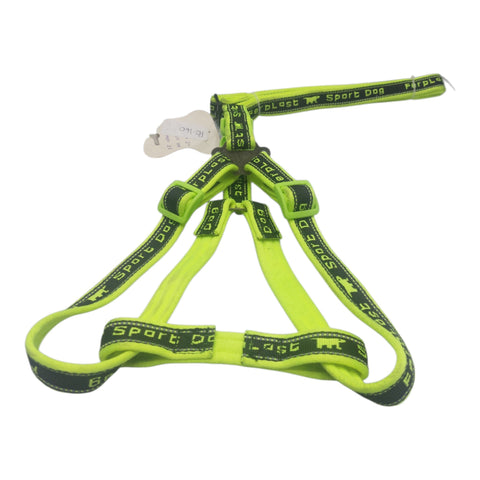 Dog Leash For Large Pet