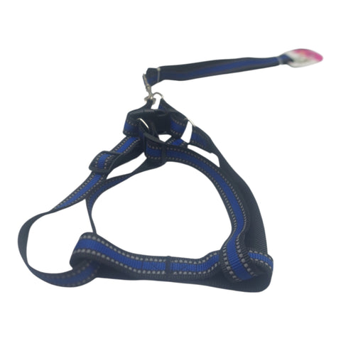 Dog Leash For Large Pet
