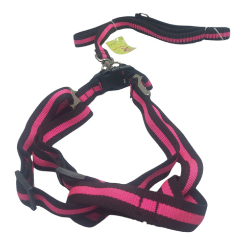 Dog Leash For Large Pet