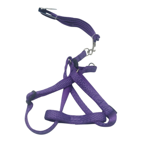 Dog Leash For Small Pet