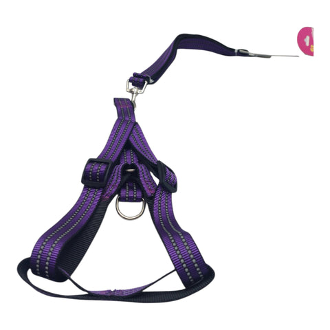 Dog Leash For Meduim Pet