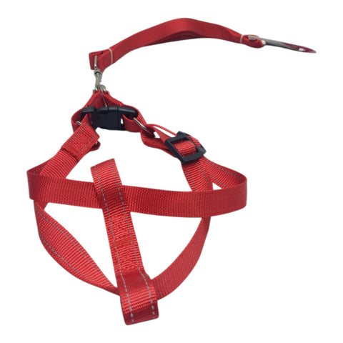Dog Leash For Meduim Pet