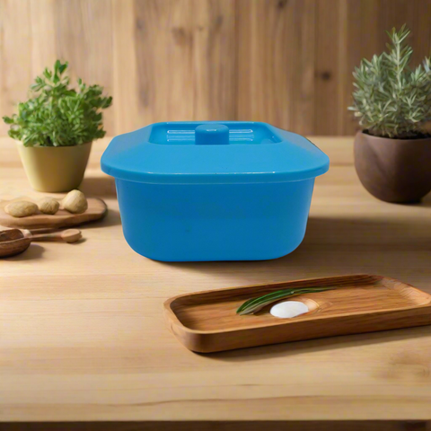 Olive Snack Box 1 Liter