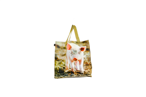 Animal Printed PVC/Kraft Bags