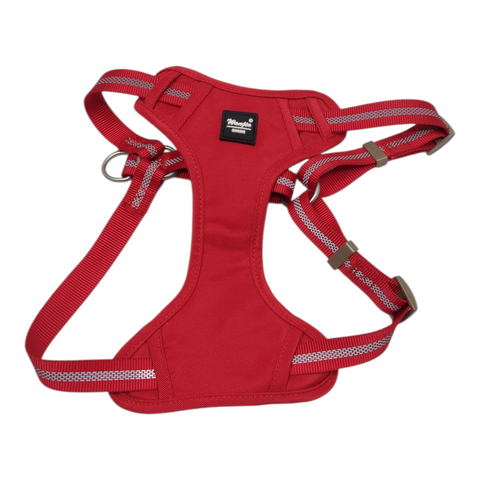 Dog Small  Harness PC 175