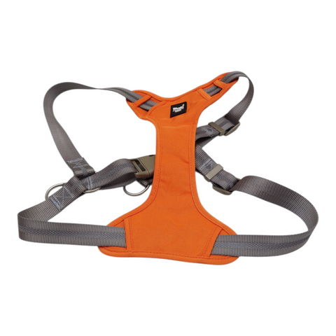 Dog Small  Harness PC 175