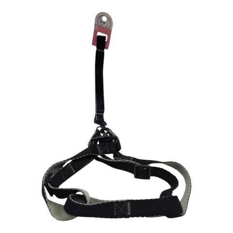 Dog Leash Large  PC 164