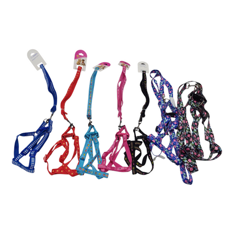 Dog Small  Leash PC 165