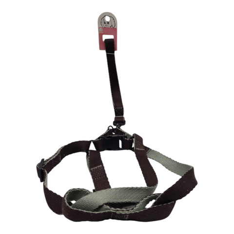 Dog Leash Large  PC 164