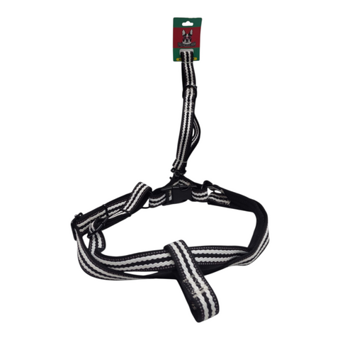 Dog Leash Large  PC 164