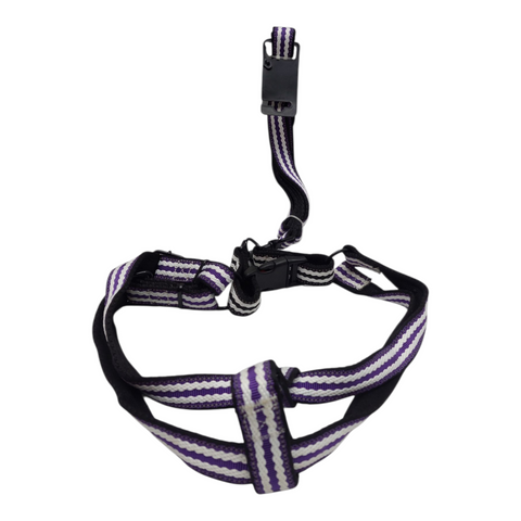 Dog Leash Large  PC 164