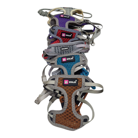 Dog Small  Leash PC 167