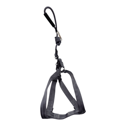 Dog Large  Leash PC 170