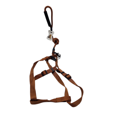Dog Large  Leash PC 170