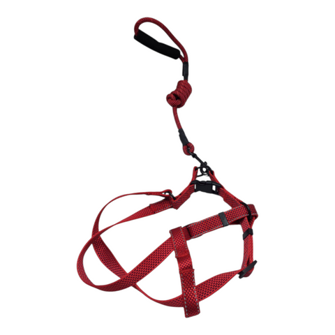 Dog Large  Leash PC 170