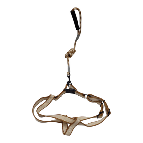 Dog Large  Leash PC 170