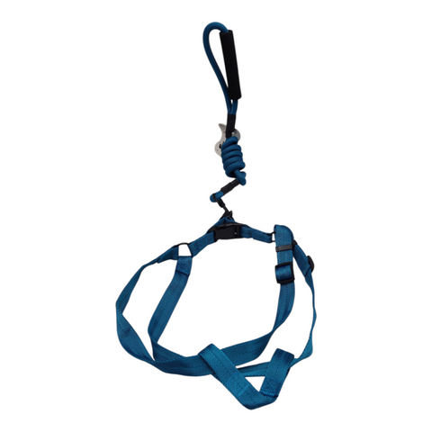 Dog Large  Leash PC 170