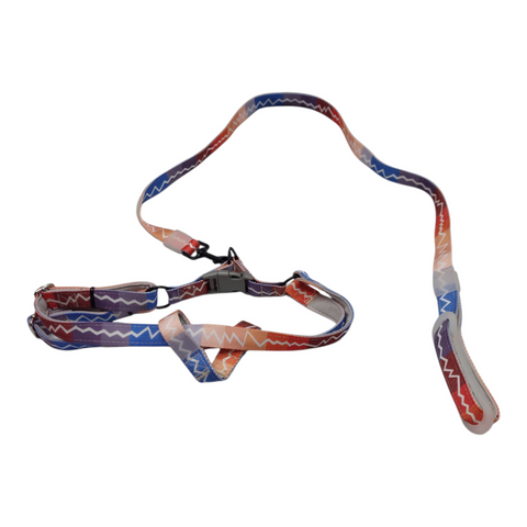 Dog Leash Large  PC 172