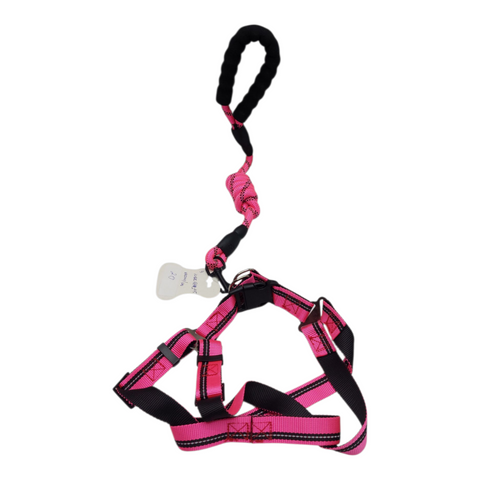 Dog Leash Meduim PC 184