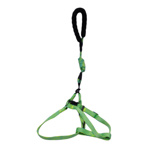 Dog Leash Meduim PC 184