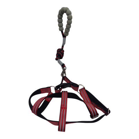 Dog Leash Large PC 191