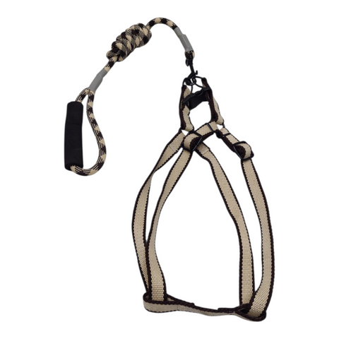 Dog Leash Large PC 191