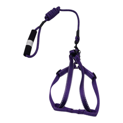 Dog Leash Large PC 191