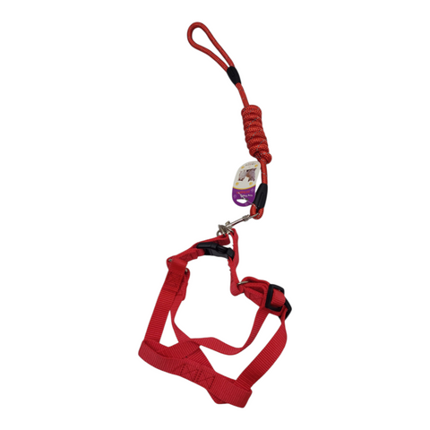 Dog Leash Large PC 191