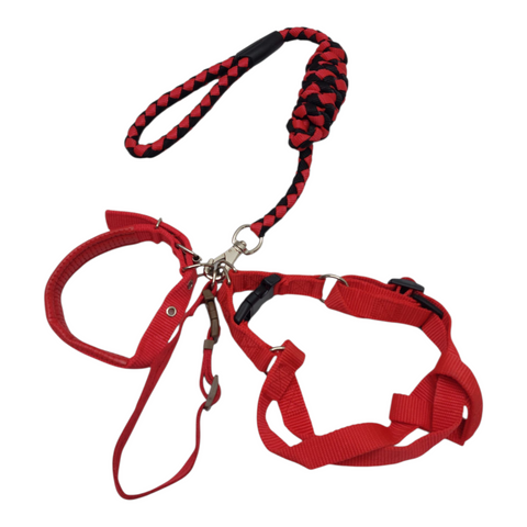 Dog Leash Large PC 191