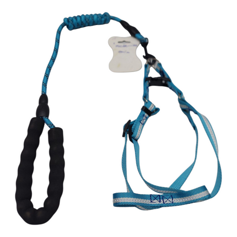 Dog Leash Large PC 191