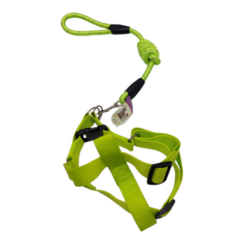 Dog Leash Large PC 191