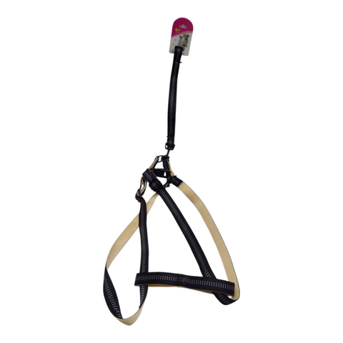 Dog Leash Large PC 191