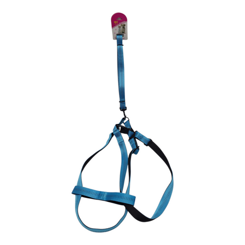 Dog Leash Large PC 191