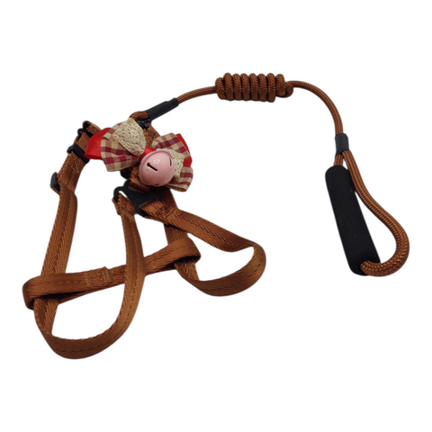 Dog Leash Small  PC 156
