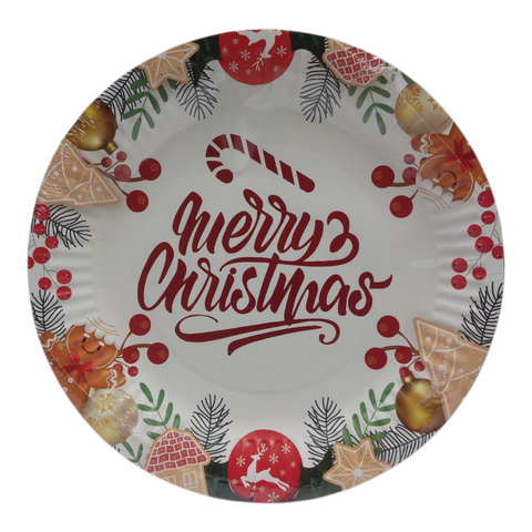 Christmas Party Paper Plates  10pcs
