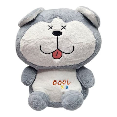 Cool Dog Teddy
