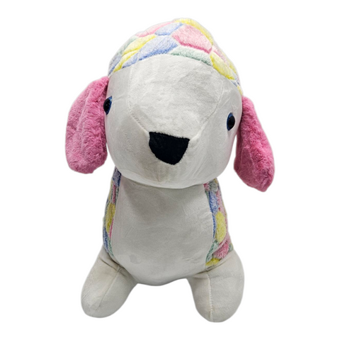 Multi Color Dog Teddy