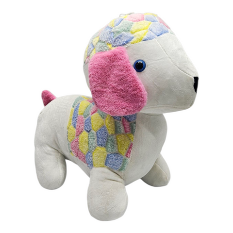 Multi Color Dog Teddy