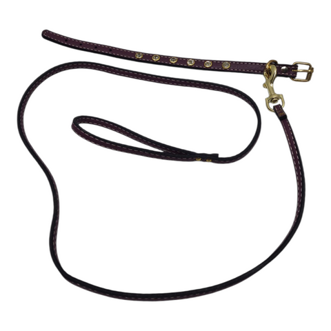 Walking Leash  Leather  PC 137